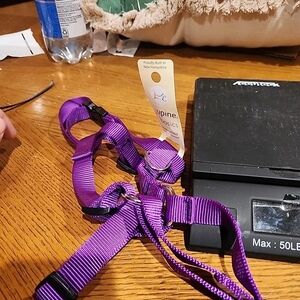 LupinePet Purple 3/4" Adjustable Roman Dog Harness, 12-20", Small Dogs